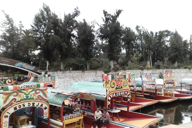 Frida Kahlo and Floating Gardens Tour with Transportation - What the private vehicle adds