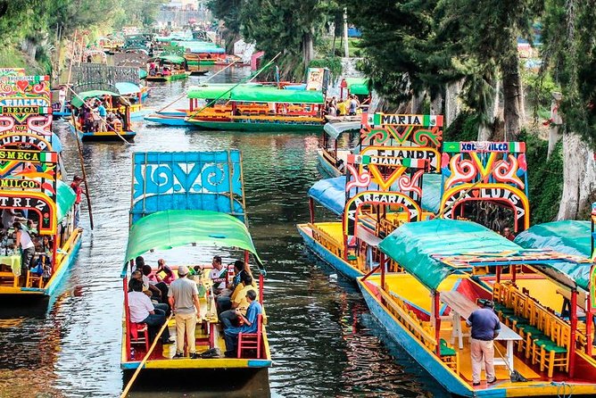 Frida Kahlo's House, Coyoacan and Xochimilco - All Day Tour - UNAM and the Central Library murals