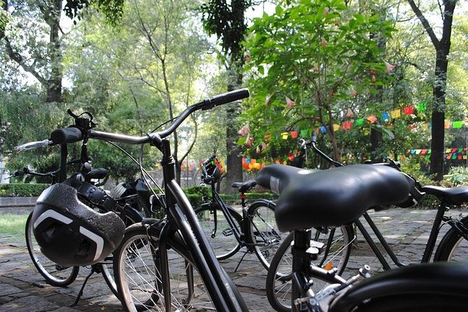 Frida Kahlo VIP - Bike & Churros [Museum Tickets Included] - Entering Frida Kahlo’s Blue House