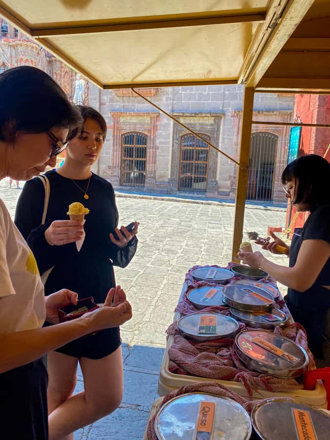 From CDMX: One day tour of colonial San Miguel de Allende - Key points to know before booking
