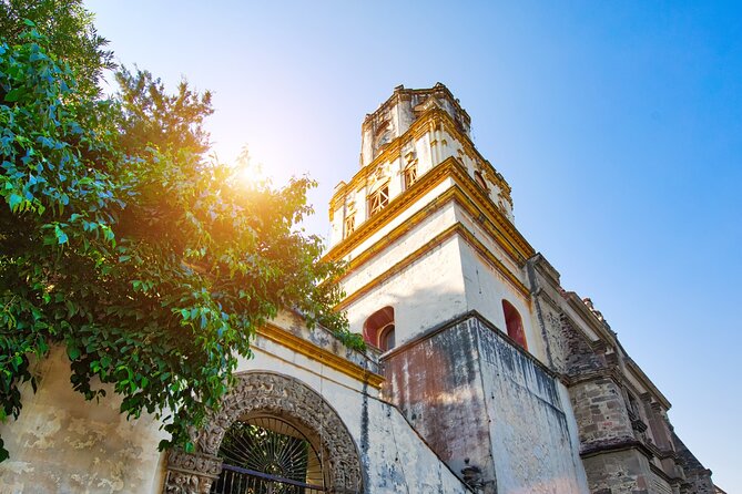From cdmx: Tour in Coyoacan and Xochimilco all inclusive - Xochimilco by trajinera