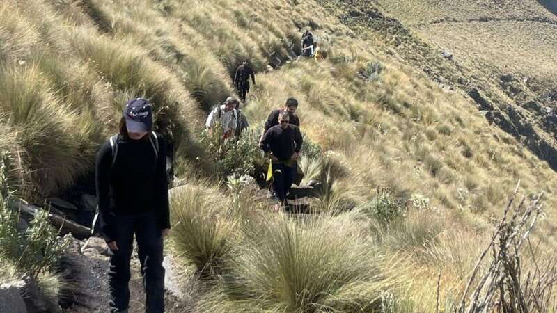 From CDMX: Trekking to Iztaccihuatl Volcano accompanied by a mountaineer - Paso de Cortés and the first mountain views