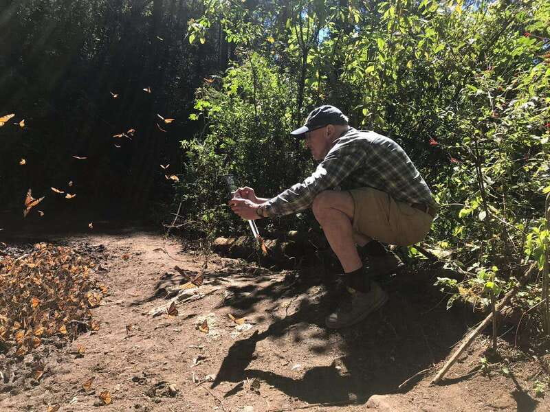 From Mexico City: 7-Day Monarch Butterfly Tour - Why this monarch trip feels different