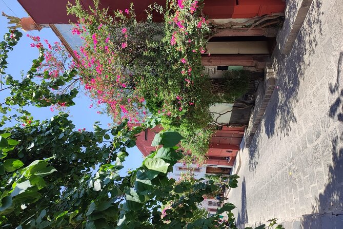 Full Day: San Miguel de Allende - Who should choose this day trip?