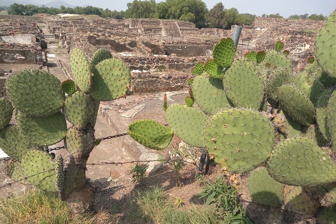 Guided Walking Tour to the Archaeological Zone of Teotihuacán - The Moon Pyramid and the final stretch