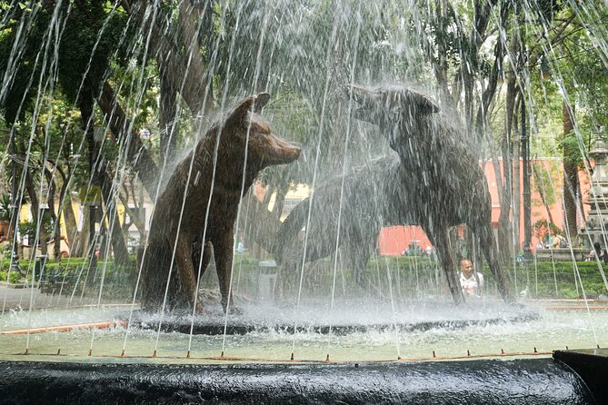 Hidden Gems of Mexico City: Exploration Game and Tour - Pausing at the fountain in the old orchard