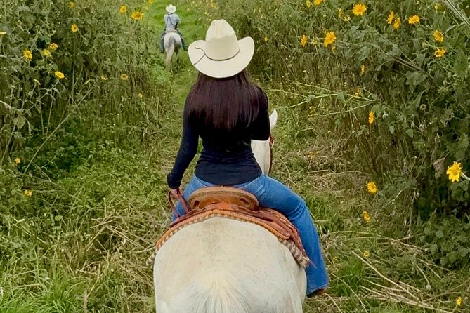Horseback, Culture & Mexican Flavors Experience - Key points to know before booking