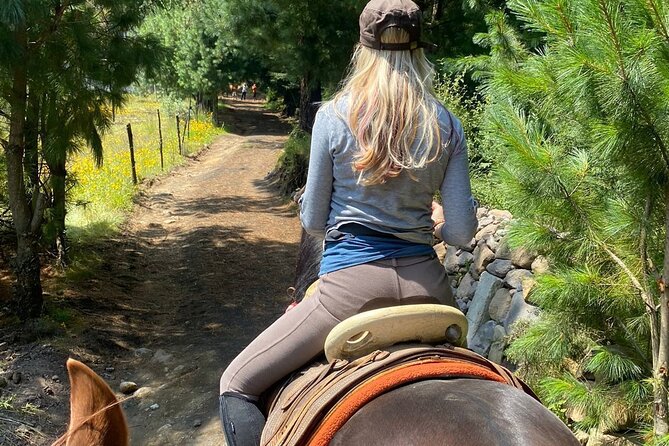 Horseback, Culture & Mexican Flavors Experience - Leaving Roma Norte for Tepetlaoxtoc