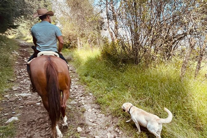 Horseback, Culture & Mexican Flavors Experience - Mexican barbecue with mountain views