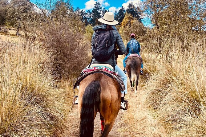 Horseback, Culture & Mexican Flavors Experience - Arrival snacks at the family ranch