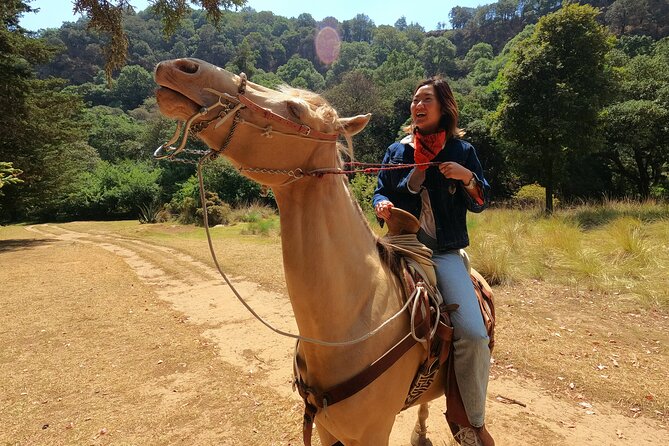 Horseback Riding in the Forest and Breakfast in Cabin - Key points to know before booking