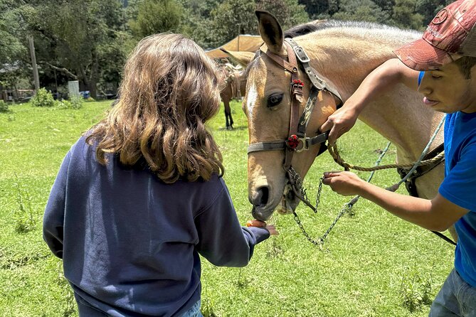 Horseback Riding in the Forest and Breakfast in Cabin - A cabin meal after the ride