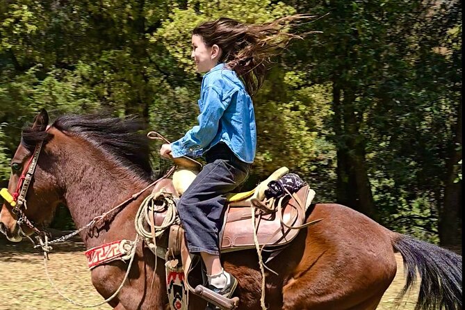 Horseback Riding in the Forest and Breakfast in Cabin - Who will enjoy this ride most