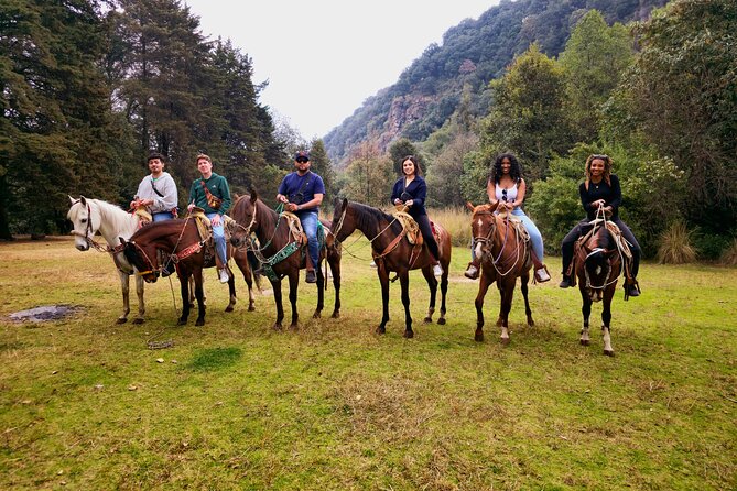Horseback Riding in the Forest and Breakfast in Cabin - Timing, weather, and cancellation details