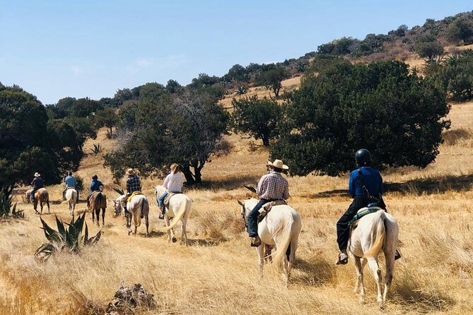 Horseback Riding through Mexican Haciendas - Key points to know before you book