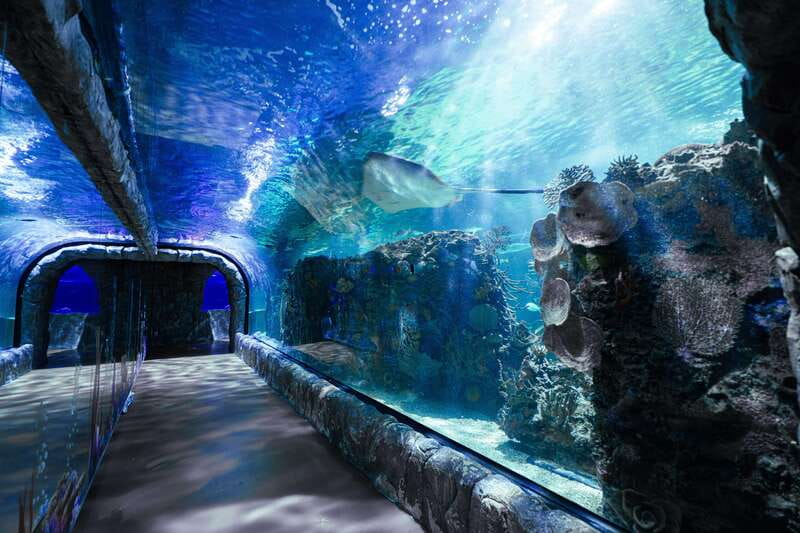 Inbursa Aquarium Entry Ticket with VR Option - Key points to know before you go