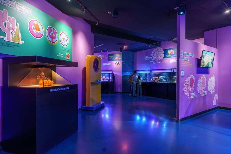 Inbursa Aquarium Entry Ticket with VR Option - Should you book Acuario Inbursa?