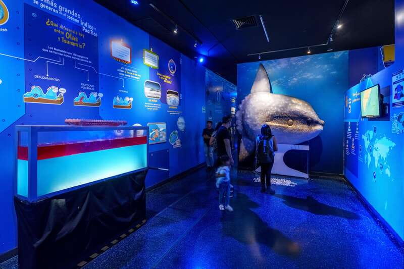 Inbursa Aquarium Entry Ticket with VR Option - Inside Acuario Inbursa: a simple route through marine habitats