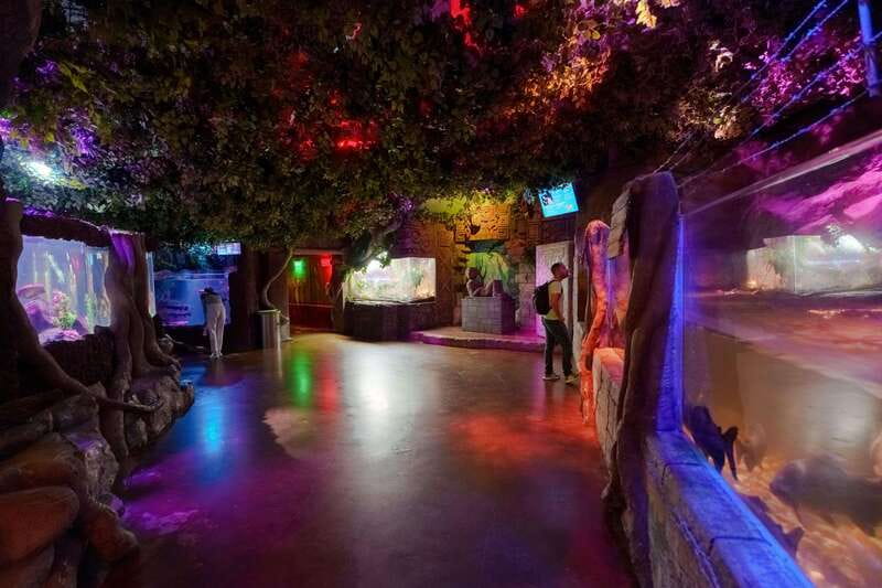 Inbursa Aquarium Entry Ticket with VR Option - The Interactive Aquarium adds more than glass tanks