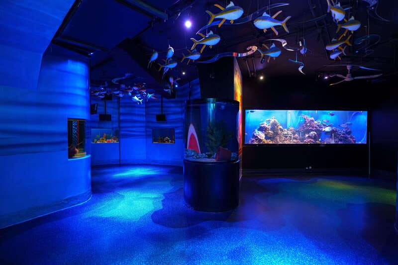 Inbursa Aquarium Entry Ticket with VR Option - The VR option needs careful planning