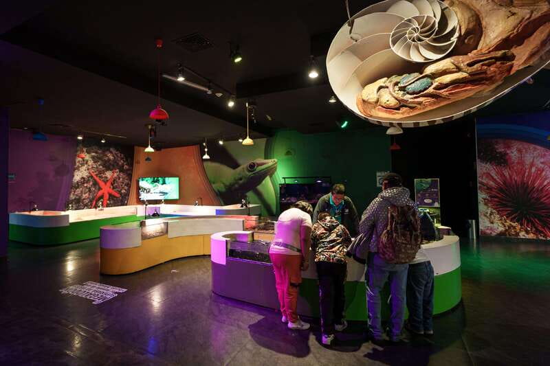Inbursa Aquarium Entry Ticket with VR Option - Is $20 per person good value?