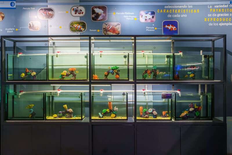 Inbursa Aquarium Entry Ticket with VR Option - Timing, entry, and practical details