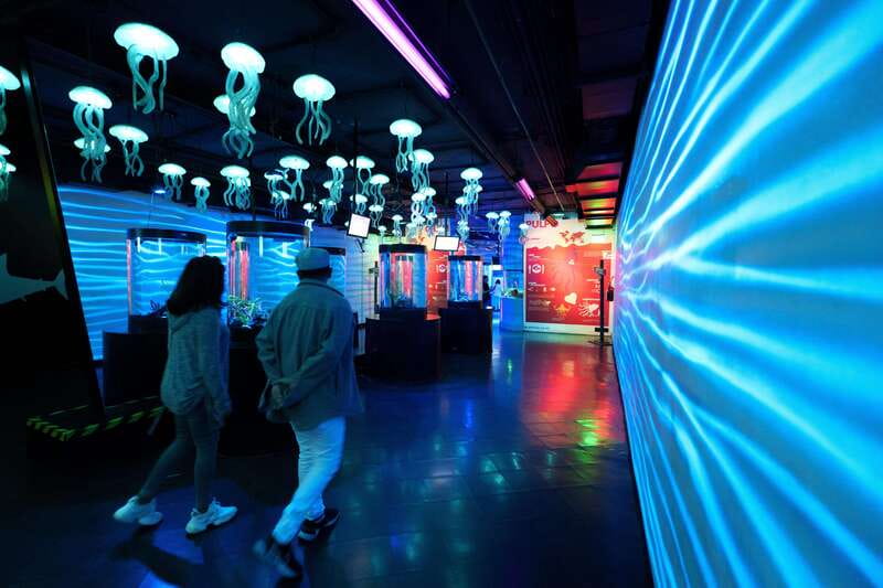 Inbursa Aquarium Entry Ticket with VR Option - Who will enjoy this aquarium most?