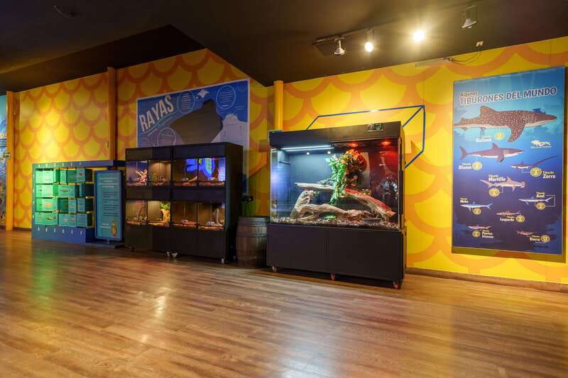 Inbursa Aquarium Entry Ticket with VR Option - Sharks, turtles, and seahorses provide the main draw