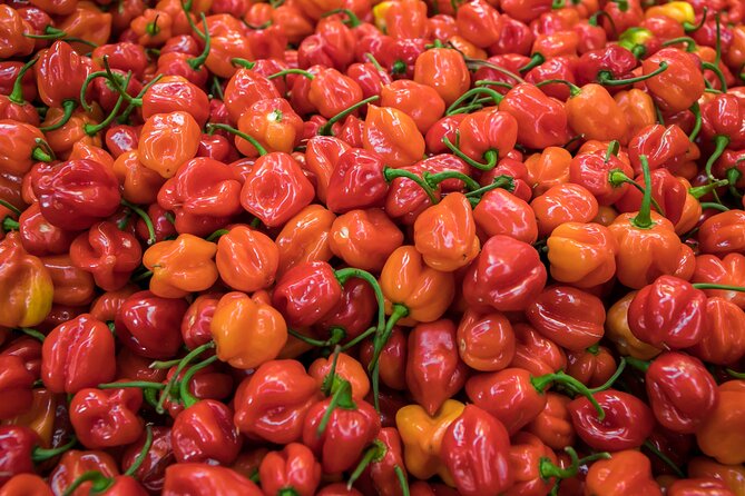 Journey Through La Merced - Is $137.10 a fair price?