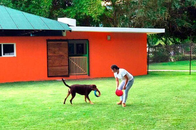 Las Estacas Natural Park Private Tour from Mexico City - Who will enjoy this day most