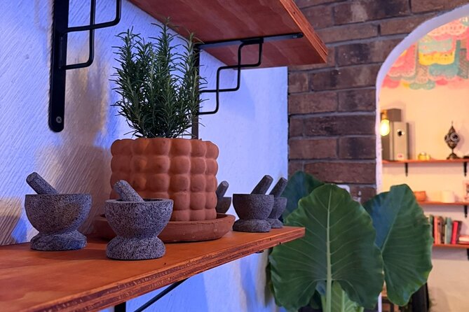 Mexican Mixology Workshop with Panoramic View in Coyoacán - Luis’s Teaching Style and the Language Question