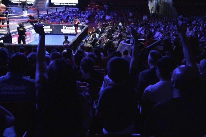 Mexican Wrestling and Gastronomy Show - Is $149.44 a fair price?