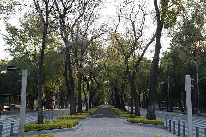 Mexico City: 19 City Highlights Bicycle Tour - From the Angel to the city center