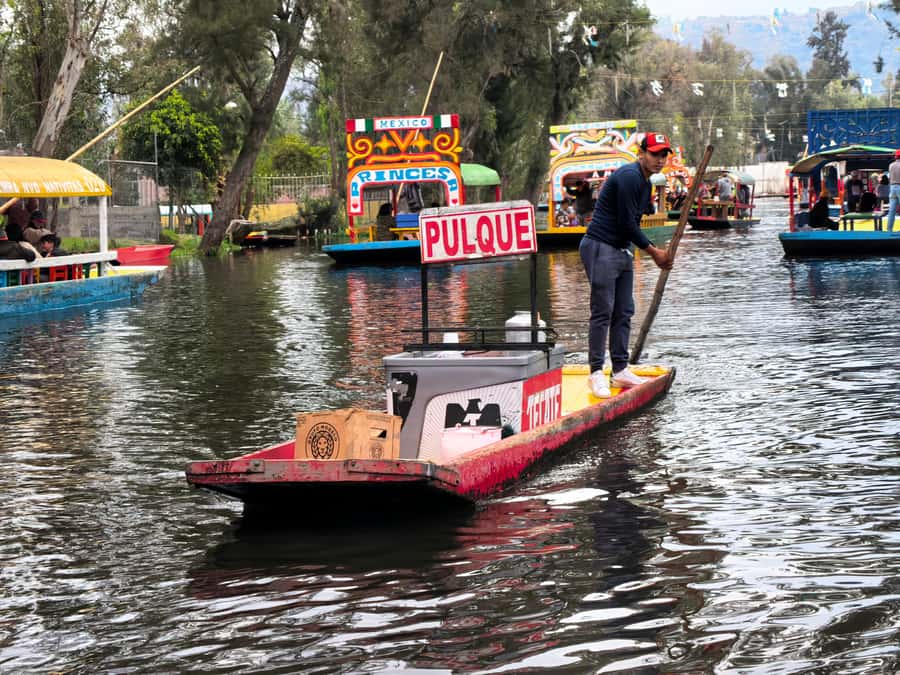 Mexico City: All-Inclusive College Student-Guided Boat Tour - Mexican Bingo and the Chinampa Island Stop