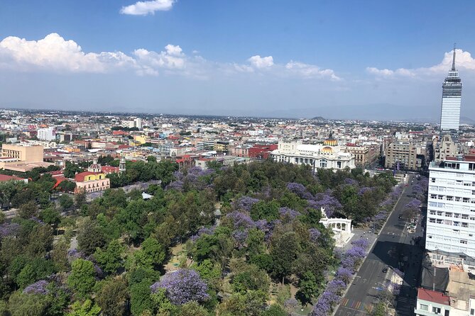 Mexico City Center Private Walking Tour - A central shop stop adds breathing room