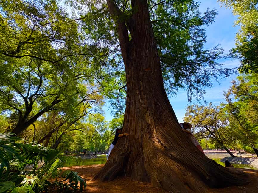 Mexico City: Chapultepec Castle and Forest Guided Tour - Who should choose this tour