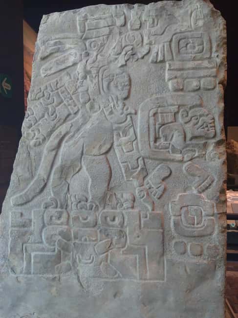 Mexico City: Chapultepec Park and Museums Walking Tour - Timing, Walking, and What to Bring