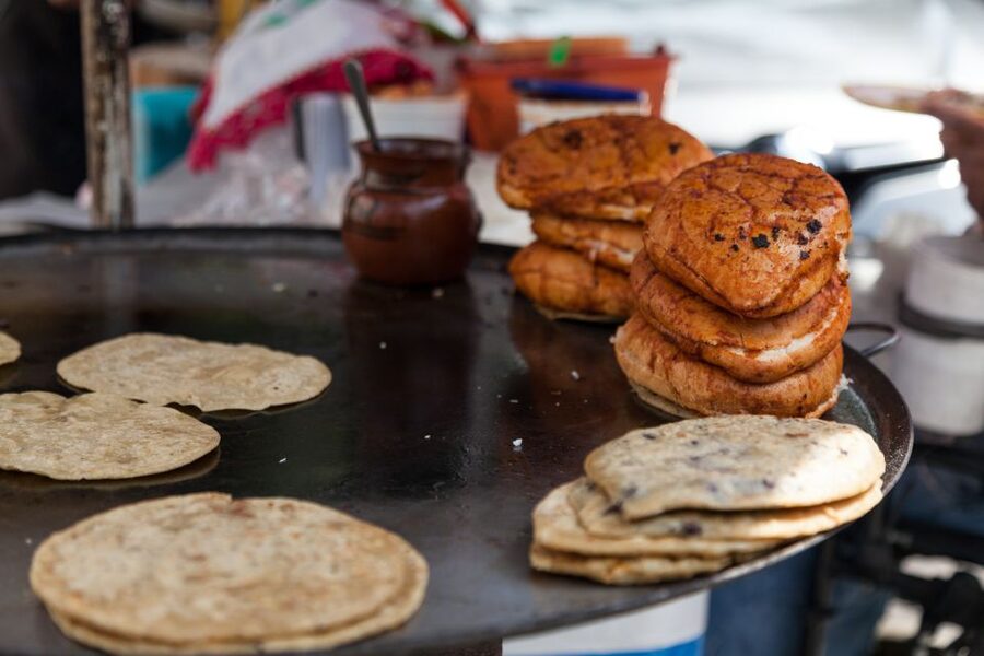 Mexico City: Coyoacán Area Food & Drink Tastings Guided Tour - Cancellation and booking flexibility