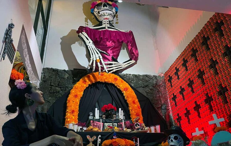 Mexico City: Day of the Dead House and craft workshop - Should you book the Casa Dia de Muertos visit?