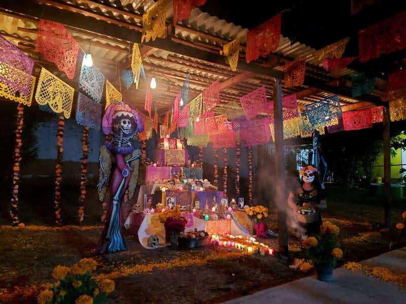 Mexico City: Day of the Dead Tour - Xochimilco by trajinera, with Mariachi