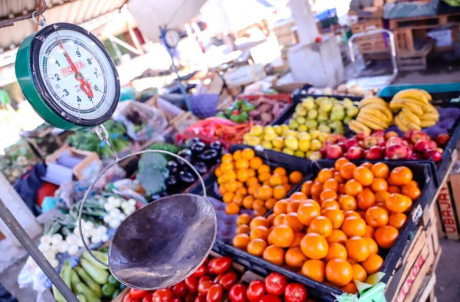 Mexico City: Exotic Food Tasting Tour & Local Markets - What the $53 price really covers