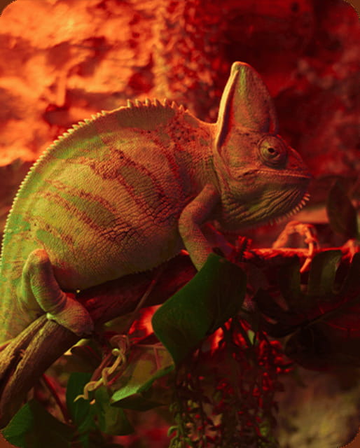 Mexico City: Fast Pass Ticket to Acuarium Inbursa - Key points to know before you go