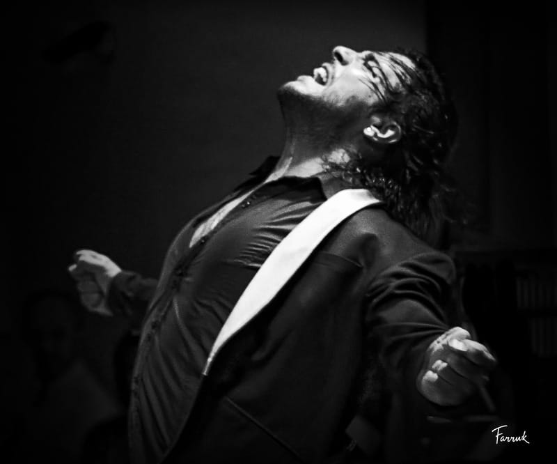 Mexico City: Flamenco Tablao Live Show & dinner - Who will enjoy this show most
