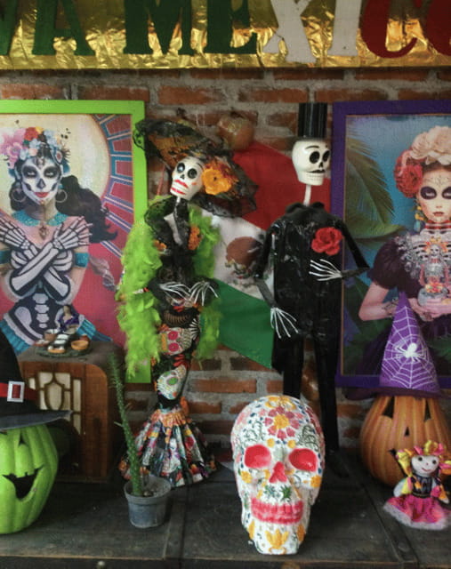 Mexico City: Frida Kahlo, Coyoacán, and Xochimilco Day Tour - Key points to know before booking