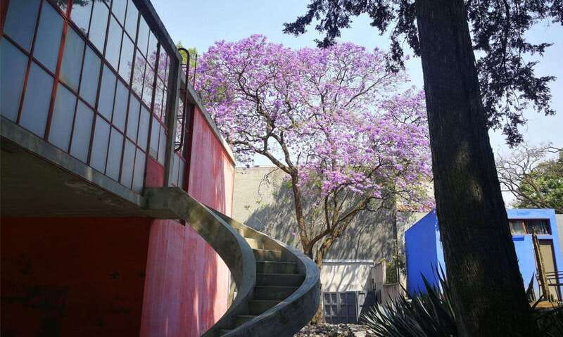 Mexico City: Frida Kahlo-Diego Rivera Studio House Tour - The two-hour guided museum visit