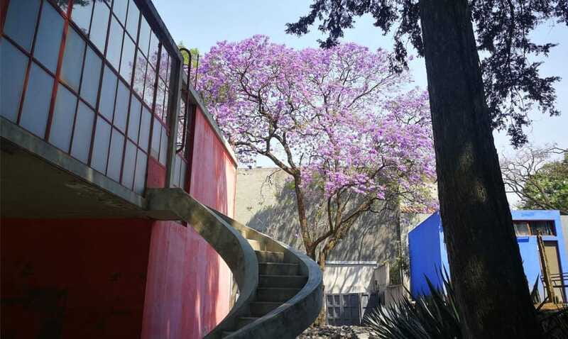 Mexico City: Frida Kahlo-Diego Rivera Studio House Tour - Food suggestions after the museum