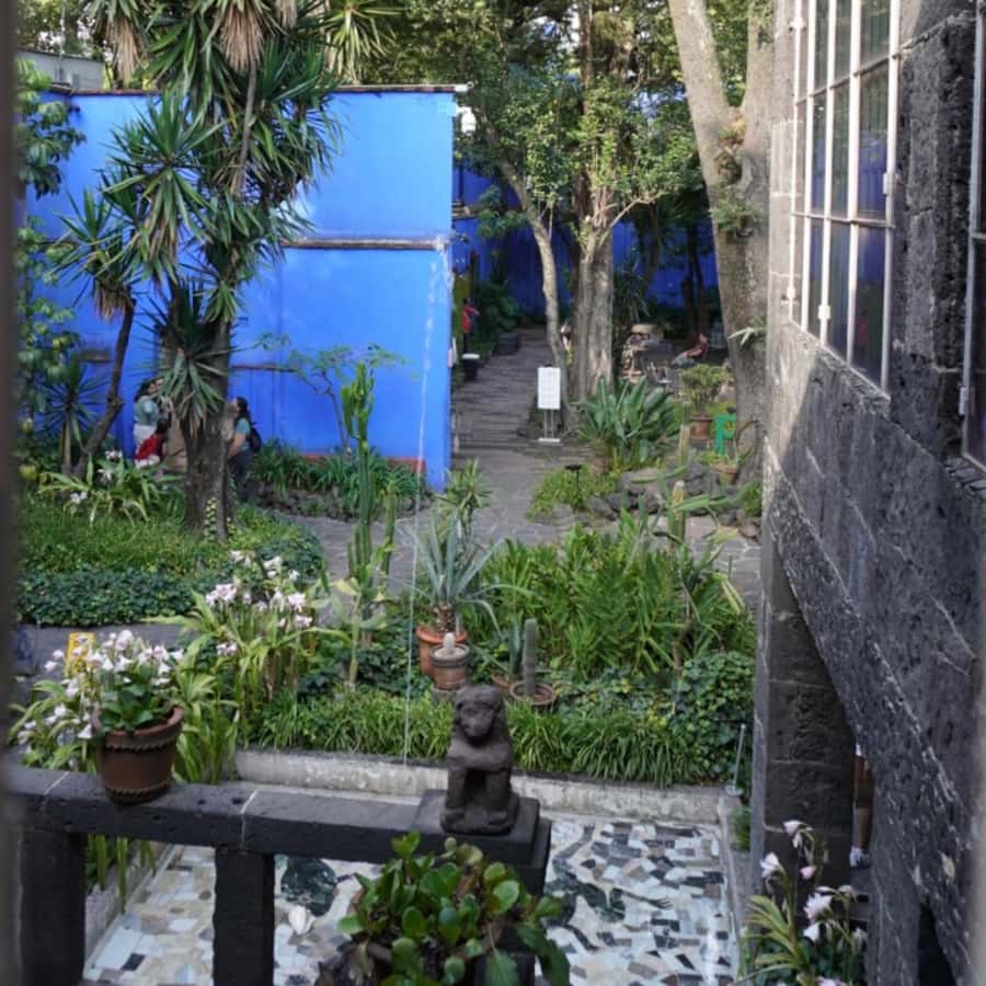 Mexico City: Frida Kahlo Museum Tour - Inside Casa Azul, Frida’s life becomes physical