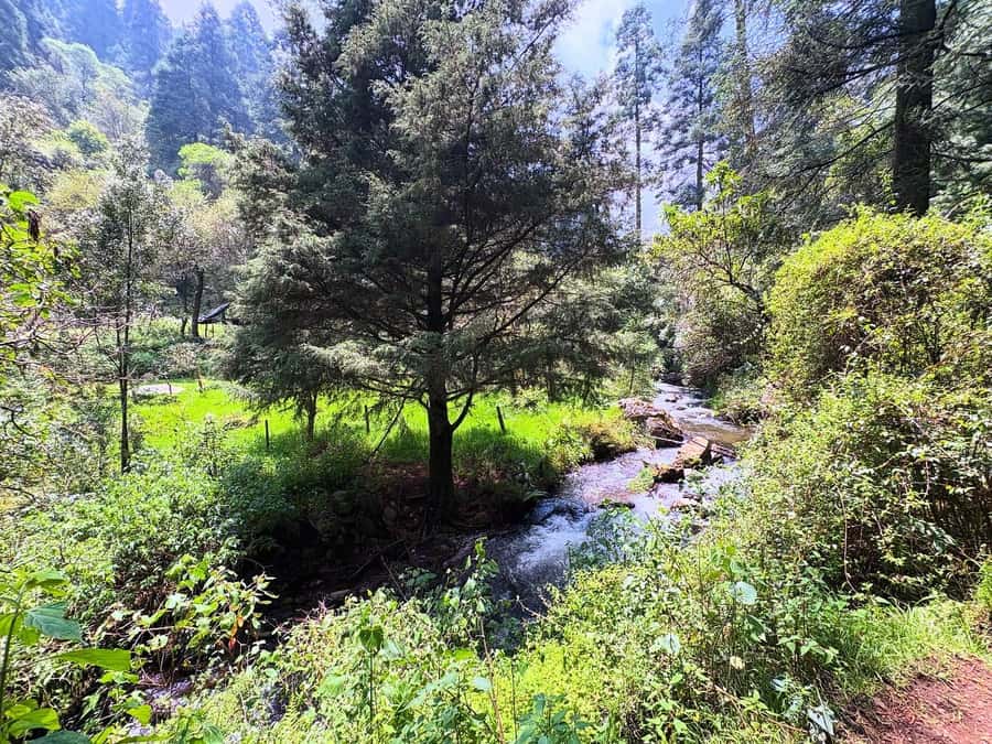Mexico City: Guided Hike in the Dinamos Forest - Key points at a glance