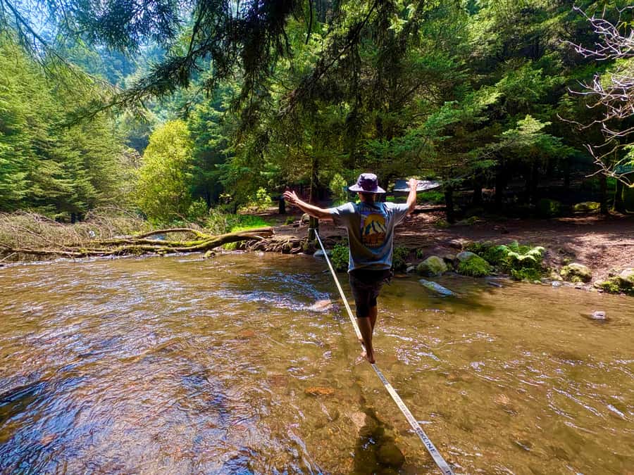 Mexico City: Guided Hike in the Dinamos Forest - From Condesa cafés to the Dinamos Forest