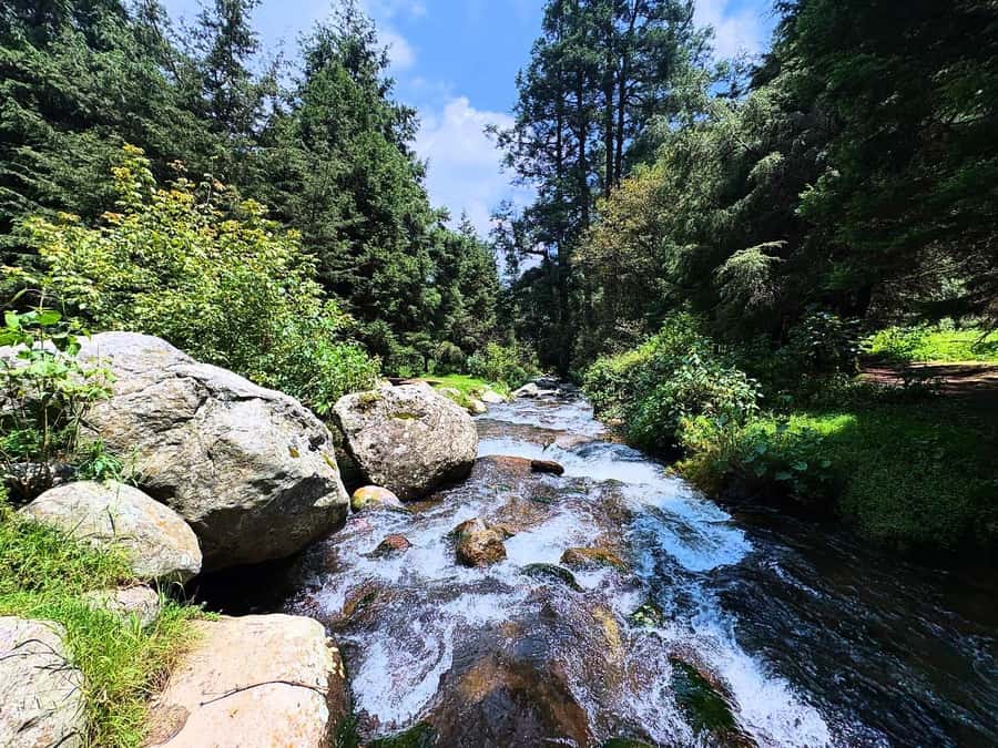 Mexico City: Guided Hike in the Dinamos Forest - The old dynamos and the power of water